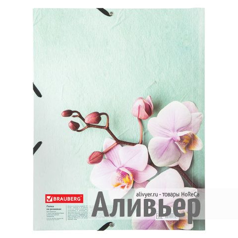 Папка на резинках BRAUBERG "FLOWER", А4, цветная печать, до 300 листов, 500 мкм, 228032, изображение 4
