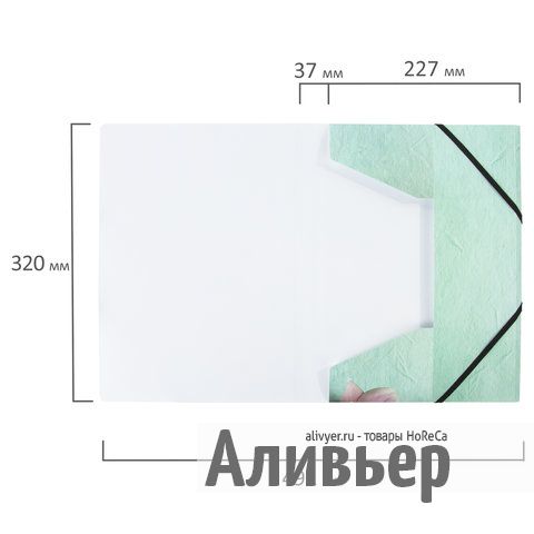 Папка на резинках BRAUBERG "FLOWER", А4, цветная печать, до 300 листов, 500 мкм, 228032, изображение 10