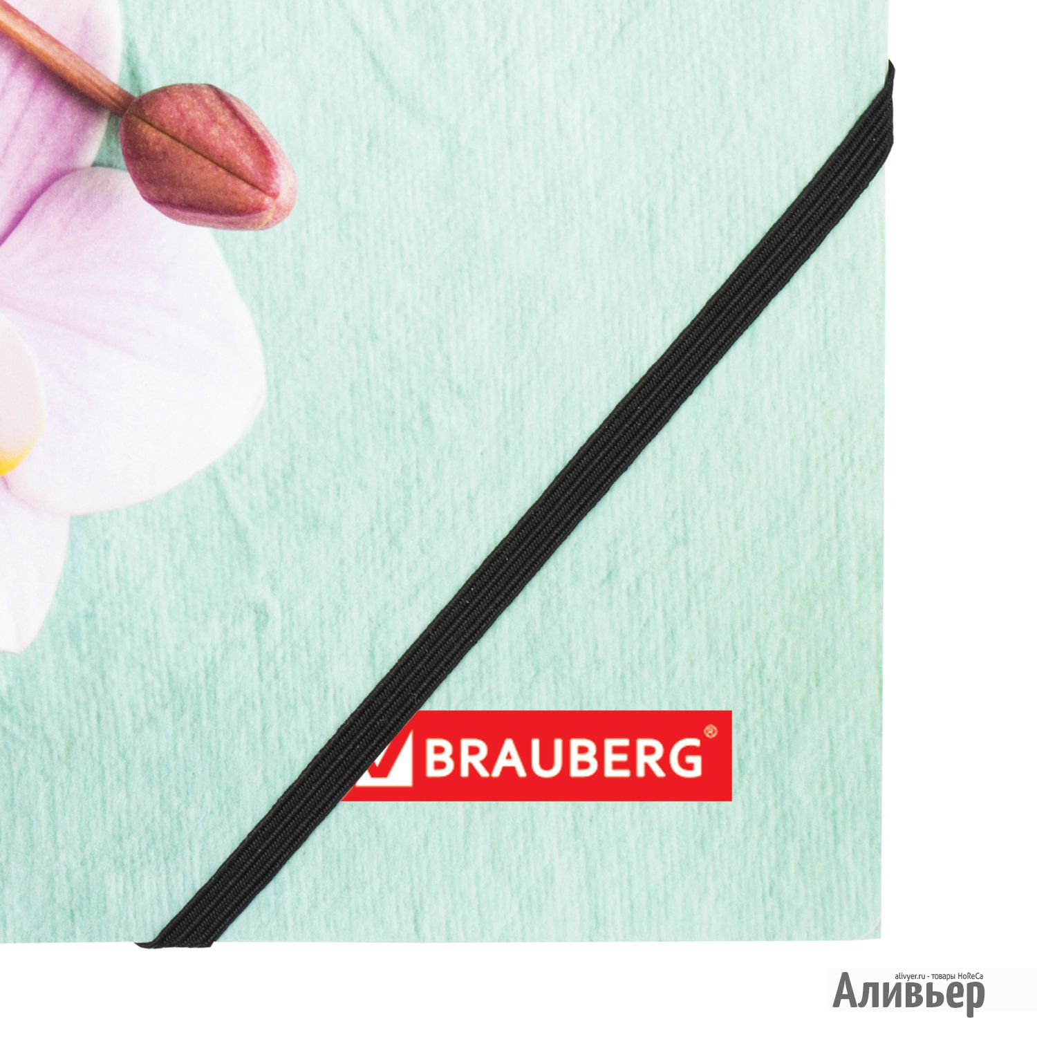 Папка на резинках BRAUBERG "FLOWER", А4, цветная печать, до 300 листов, 500 мкм, 228032, изображение 16