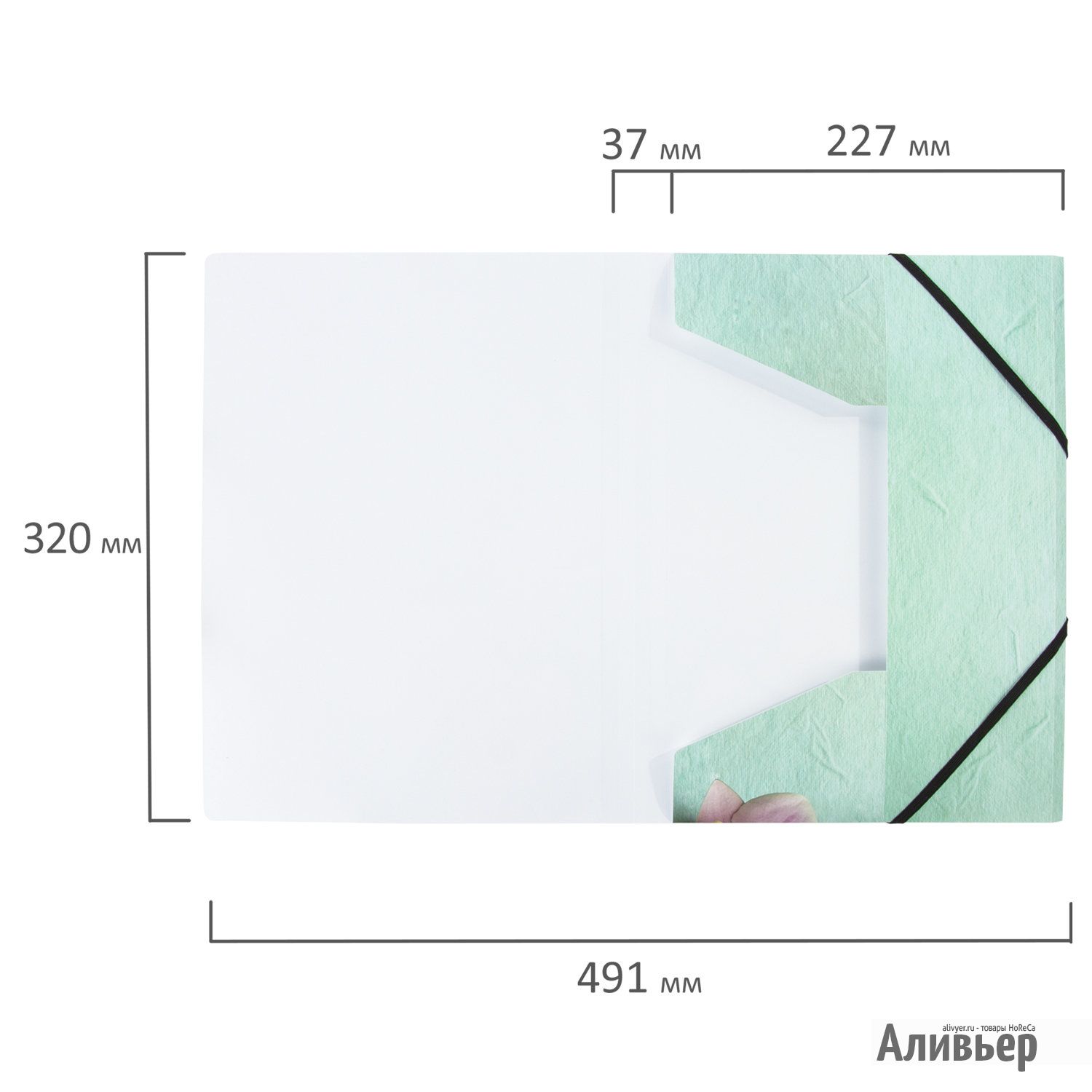 Папка на резинках BRAUBERG "FLOWER", А4, цветная печать, до 300 листов, 500 мкм, 228032, изображение 18